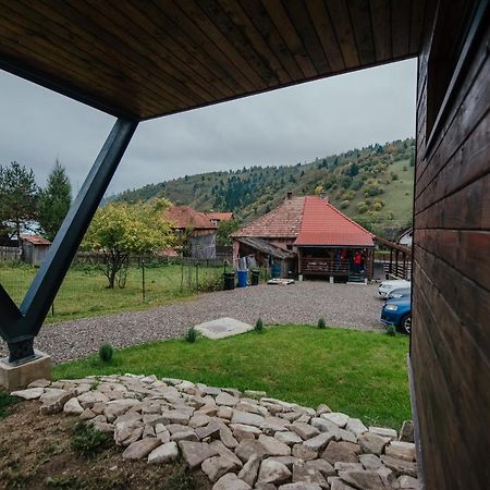 Orion Apartments Lunca de Sus Zewnętrze zdjęcie